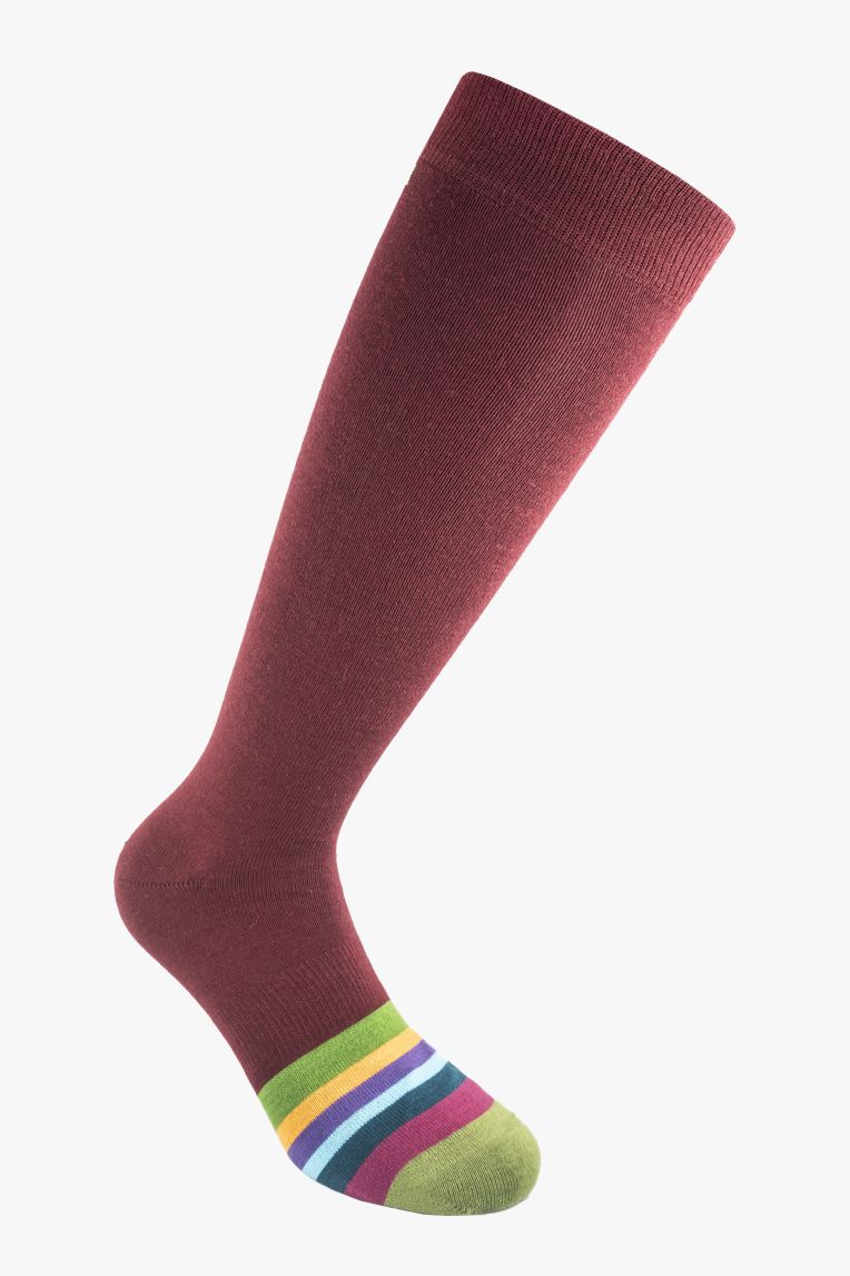 Lifestyle Today 435 | Calze Lifestyle Today in lana vergine merino fine
