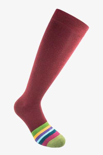 Lifestyle Today 435 | Calze Lifestyle Today in lana vergine merino fine