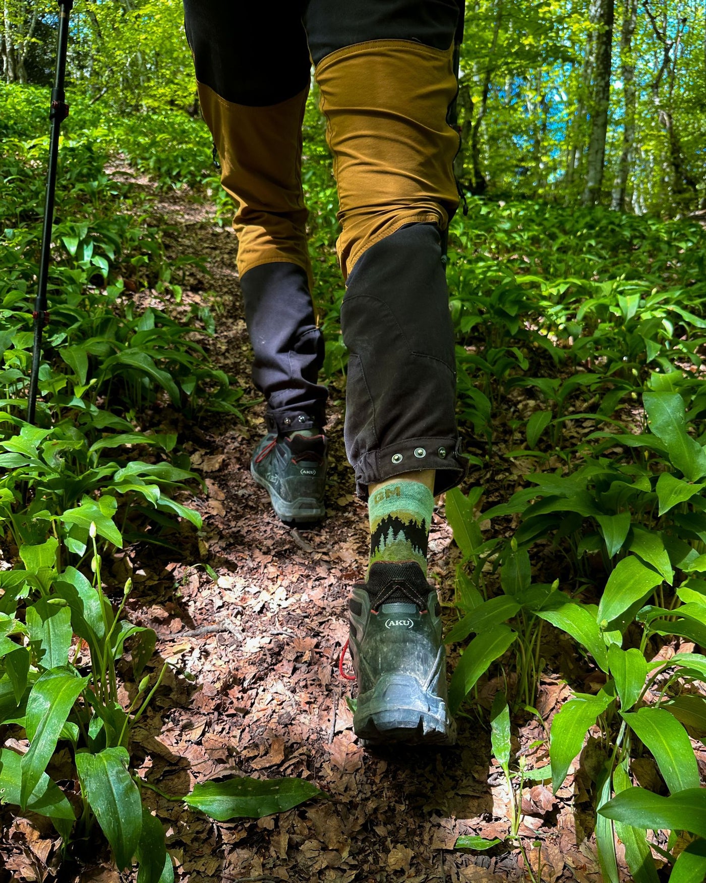 Reactive Forest 6000 | Find your roots. Calzini tecnici in cotone biologico pettinato