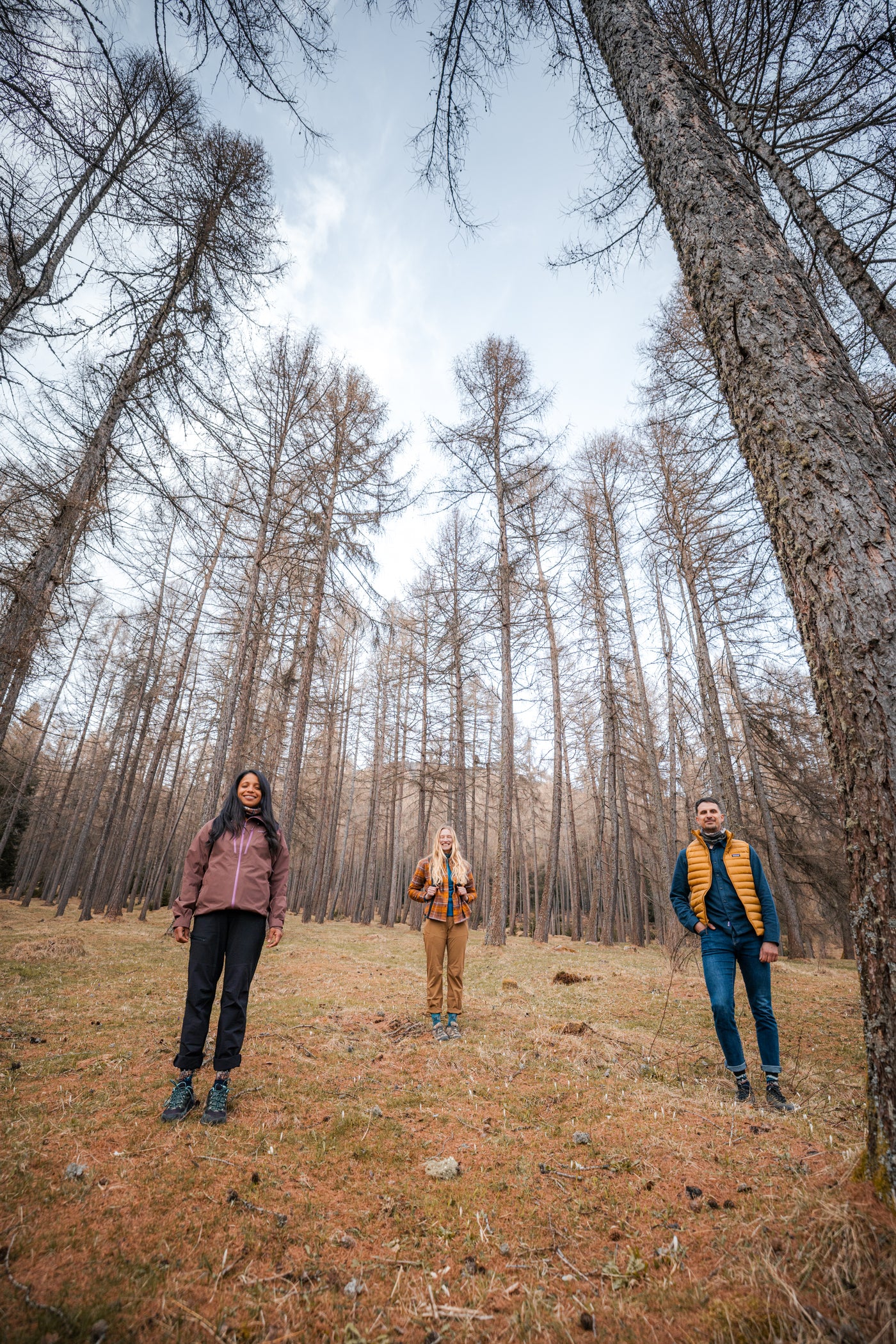 Reactive Forest 6300 | Find your roots. Calzini tecnici in lana vergine merino fine