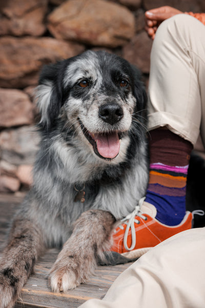 Reactive Mountain 6300 | Embrace your soul. Calzini tecnici in lana vergine merino fine