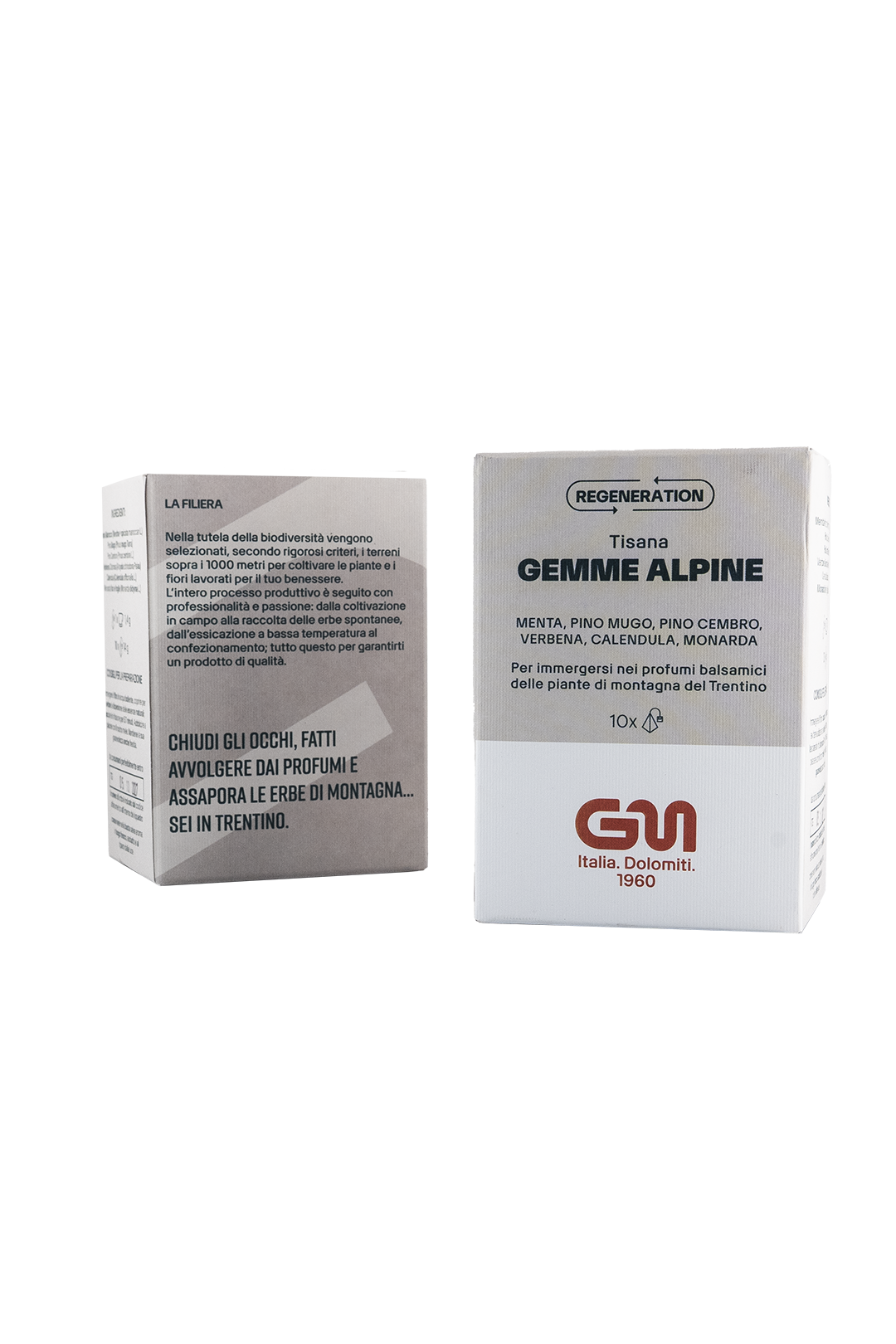 Tisana Regeneration Gemme Alpine | Menta, pino mugo, pino cembro, verbena, calendula, monarda