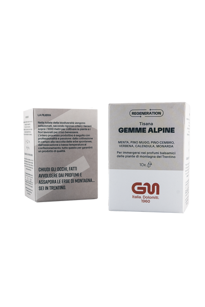 Tisana Regeneration Gemme Alpine | Menta, pino mugo, pino cembro, verbena, calendula, monarda
