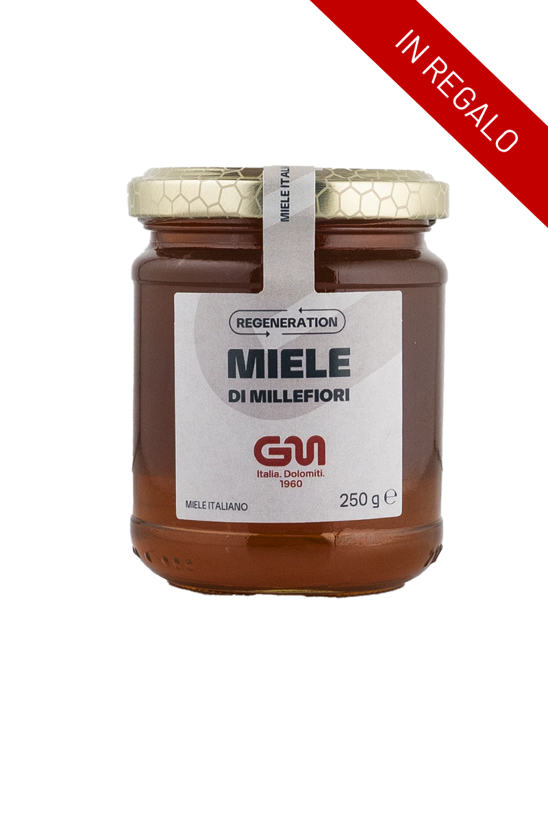 Set Multisport Lana Forest-Mountain